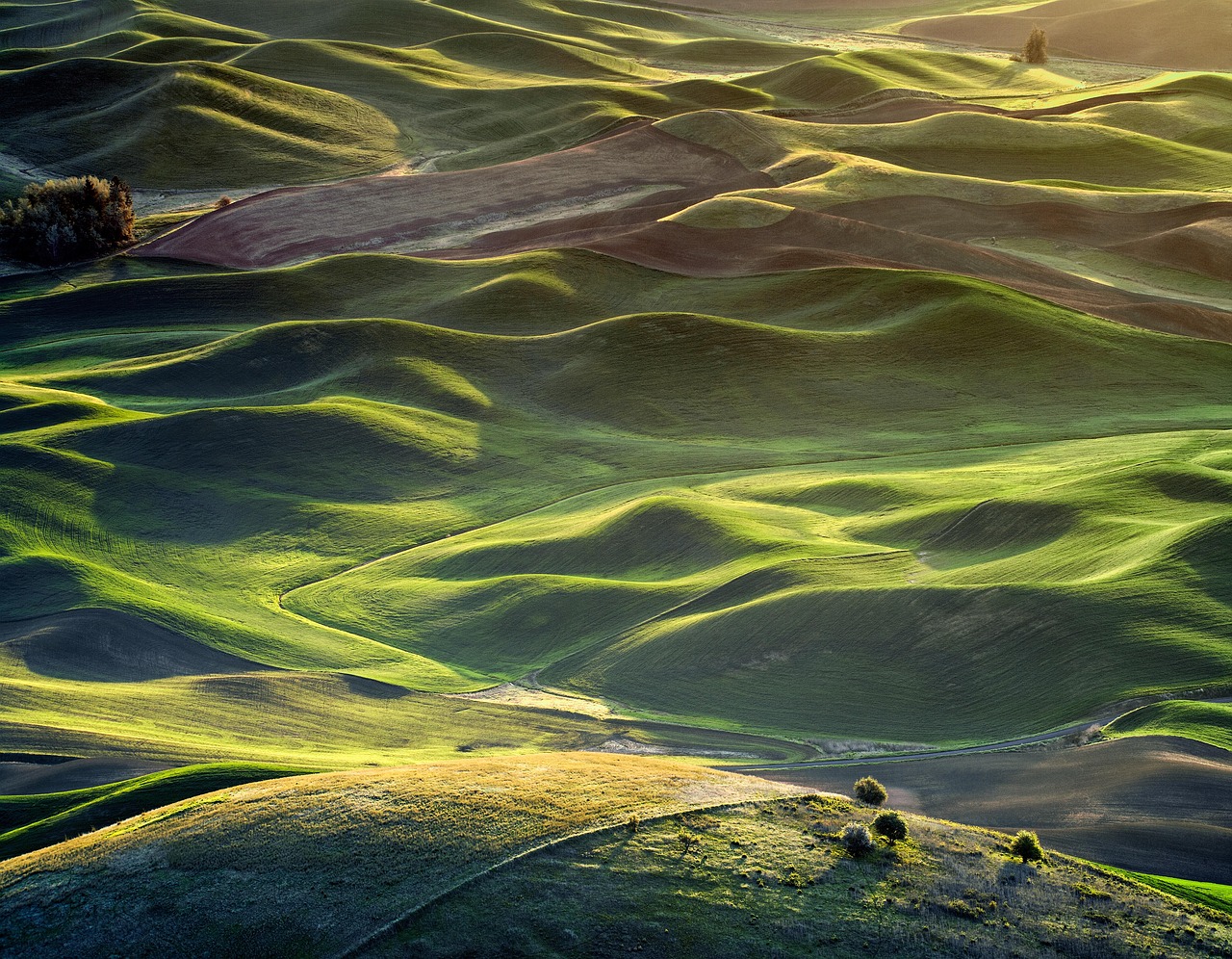 sunrise, hills, palouse, spring, washington, morning, pacific northwest, inland northwest, eastern washington, nature, cool